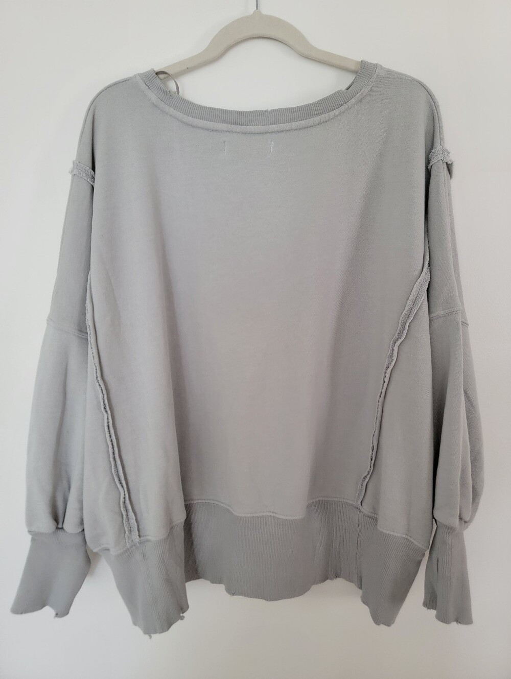 NWT Free People/We the Free zion eagle graphic camden pullover - Picture 4 of 7
